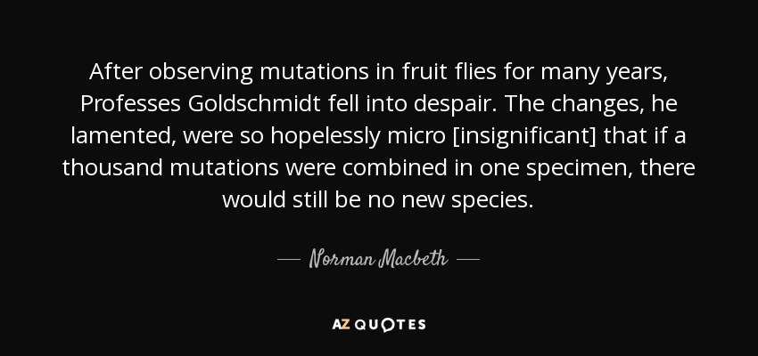 After observing mutations in fruit flies for many years, Professes Goldschmidt fell into despair. The changes, he lamented, were so hopelessly micro [insignificant] that if a thousand mutations were combined in one specimen, there would still be no new species. - Norman Macbeth