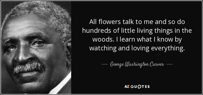 All flowers talk to me and so do hundreds of little living things in the woods. I learn what I know by watching and loving everything. - George Washington Carver