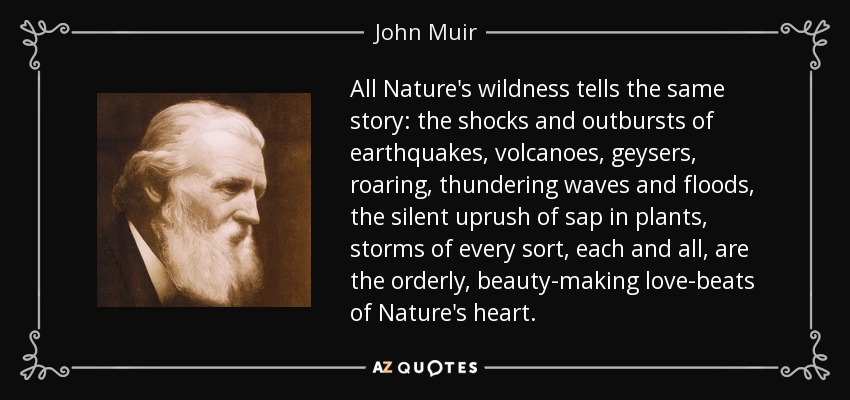 All Nature's wildness tells the same story: the shocks and outbursts of earthquakes, volcanoes, geysers, roaring, thundering waves and floods, the silent uprush of sap in plants, storms of every sort, each and all, are the orderly, beauty-making love-beats of Nature's heart. - John Muir