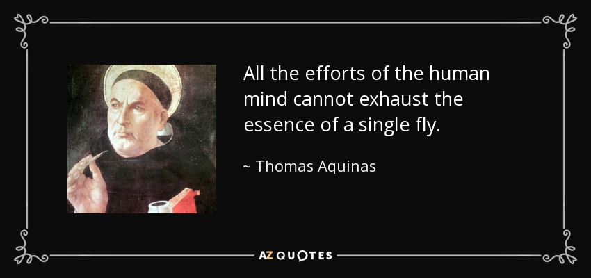 All the efforts of the human mind cannot exhaust the essence of a single fly. - Thomas Aquinas