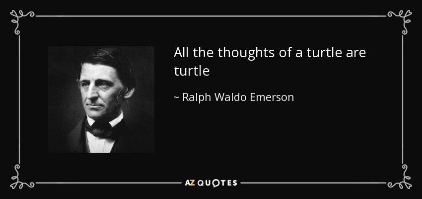 All the thoughts of a turtle are turtle - Ralph Waldo Emerson