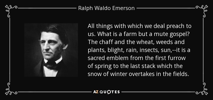 All things with which we deal preach to us. What is a farm but a mute gospel? The chaff and the wheat, weeds and plants, blight, rain, insects, sun,--it is a sacred emblem from the first furrow of spring to the last stack which the snow of winter overtakes in the fields. - Ralph Waldo Emerson