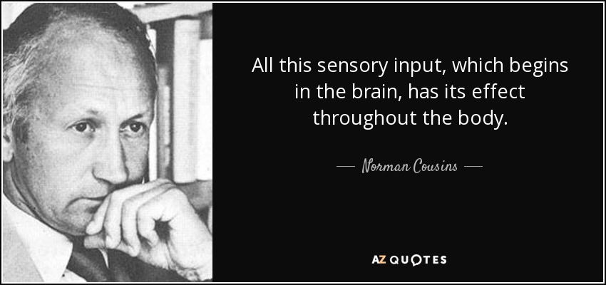 All this sensory input, which begins in the brain, has its effect throughout the body. - Norman Cousins