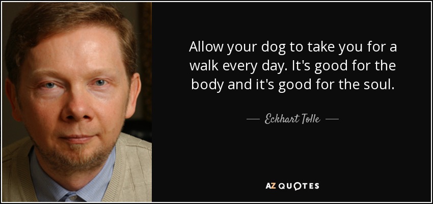 Allow your dog to take you for a walk every day. It's good for the body and it's good for the soul. - Eckhart Tolle