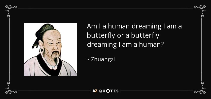 Am I a human dreaming I am a butterfly or a butterfly dreaming I am a human? - Zhuangzi