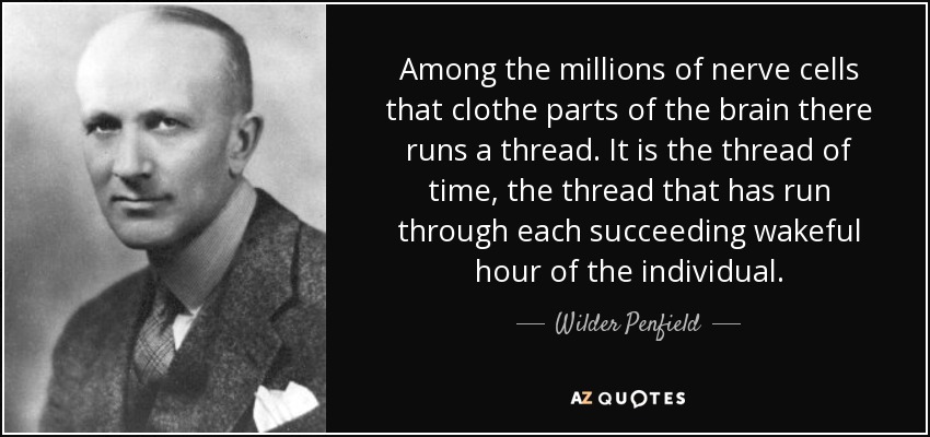 Among the millions of nerve cells that clothe parts of the brain there runs a thread. It is the thread of time, the thread that has run through each succeeding wakeful hour of the individual. - Wilder Penfield