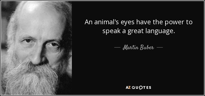 An animal's eyes have the power to speak a great language. - Martin Buber