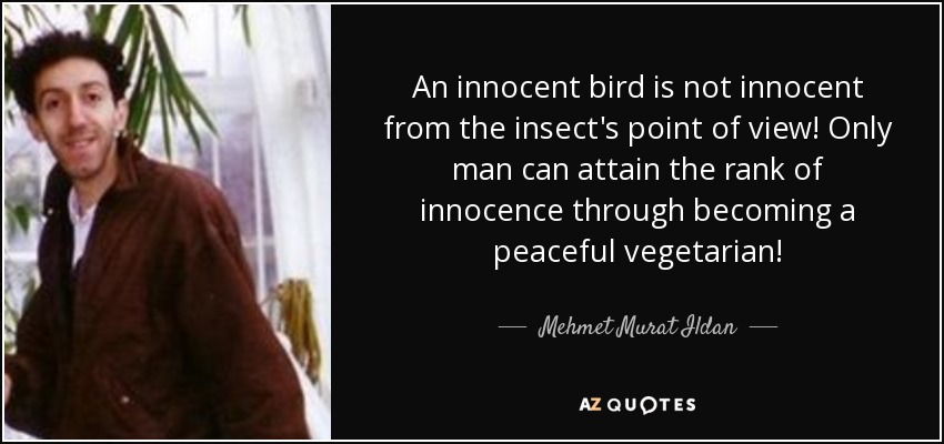 An innocent bird is not innocent from the insect's point of view! Only man can attain the rank of innocence through becoming a peaceful vegetarian! - Mehmet Murat Ildan