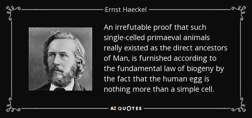 An irrefutable proof that such single-celled primaeval animals really existed as the direct ancestors of Man, is furnished according to the fundamental law of biogeny by the fact that the human egg is nothing more than a simple cell. - Ernst Haeckel