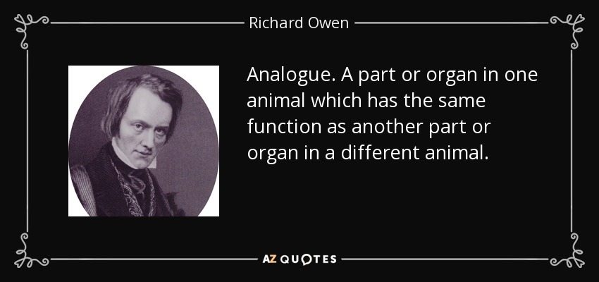 Analogue. A part or organ in one animal which has the same function as another part or organ in a different animal. - Richard Owen