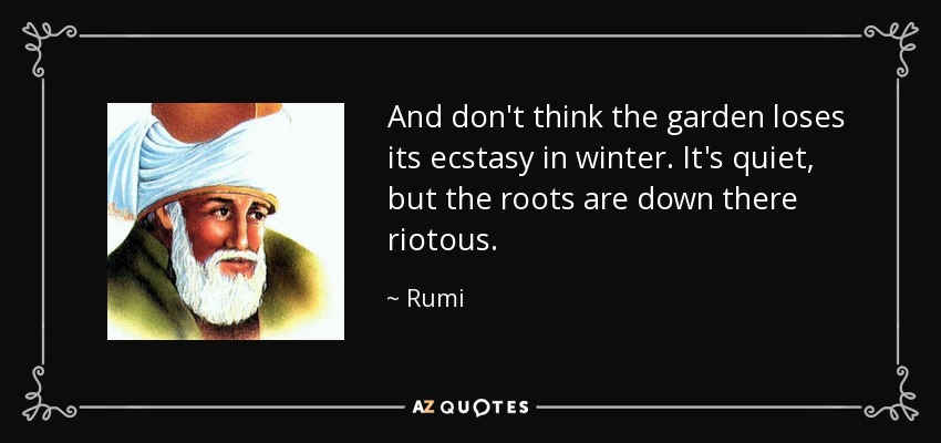 And don't think the garden loses its ecstasy in winter. It's quiet, but the roots are down there riotous. - Rumi