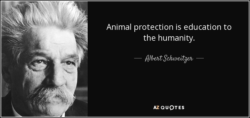 Animal protection is education to the humanity. - Albert Schweitzer