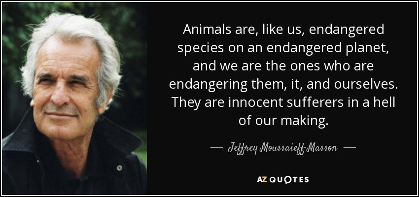 Animals are, like us, endangered species on an endangered planet, and we are the ones who are endangering them, it, and ourselves. They are innocent sufferers in a hell of our making. - Jeffrey Moussaieff Masson