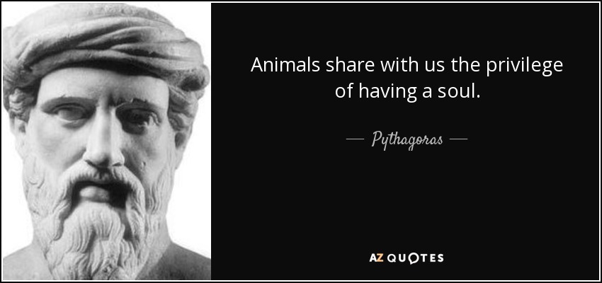 Animals share with us the privilege of having a soul. - Pythagoras