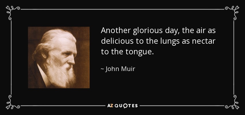 Another glorious day, the air as delicious to the lungs as nectar to the tongue. - John Muir