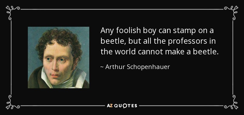 Any foolish boy can stamp on a beetle, but all the professors in the world cannot make a beetle. - Arthur Schopenhauer