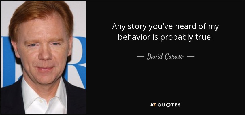 Any story you've heard of my behavior is probably true. - David Caruso