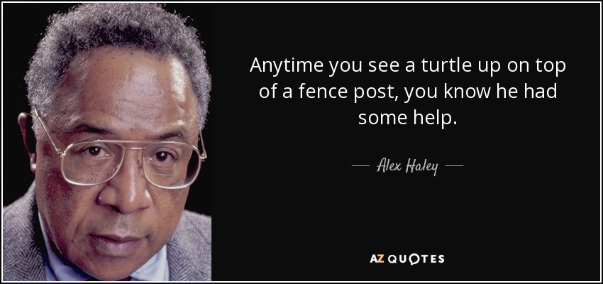 Anytime you see a turtle up on top of a fence post, you know he had some help. - Alex Haley