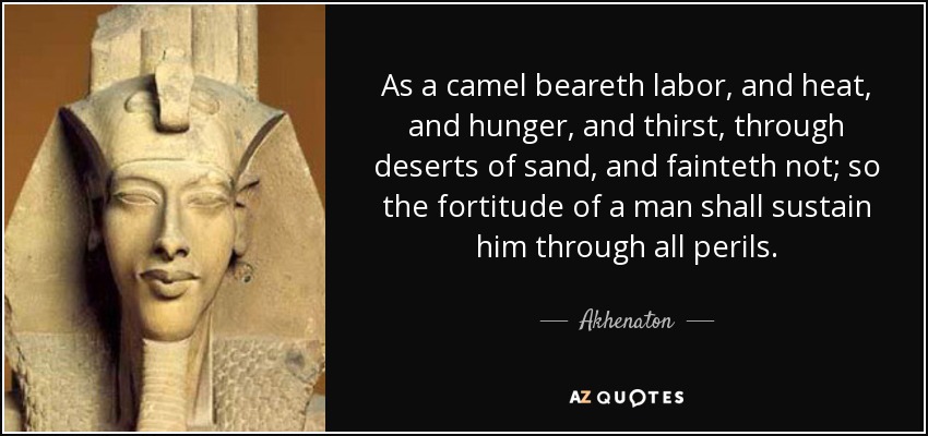 As a camel beareth labor, and heat, and hunger, and thirst, through deserts of sand, and fainteth not; so the fortitude of a man shall sustain him through all perils. - Akhenaton