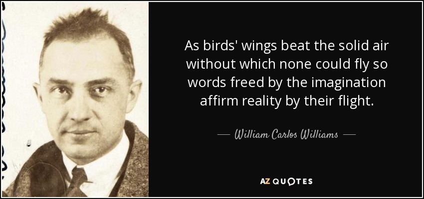 As birds' wings beat the solid air without which none could fly so words freed by the imagination affirm reality by their flight. - William Carlos Williams