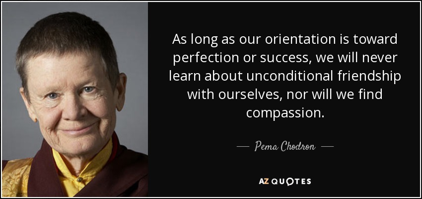 As long as our orientation is toward perfection or success, we will never learn about unconditional friendship with ourselves, nor will we find compassion. - Pema Chodron