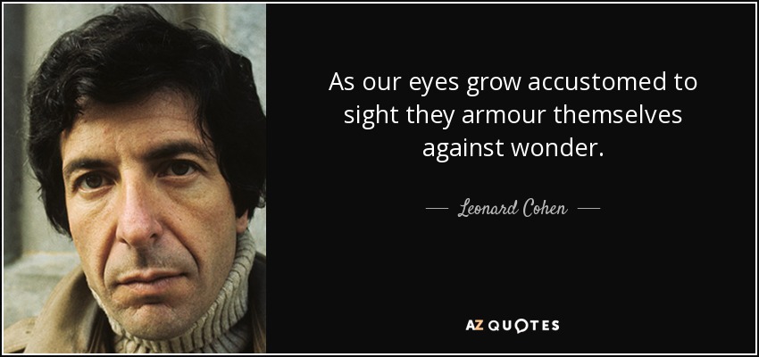 As our eyes grow accustomed to sight they armour themselves against wonder. - Leonard Cohen