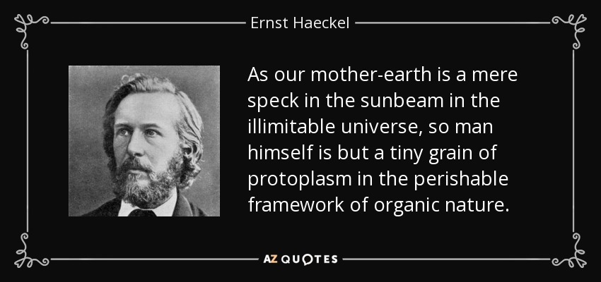 As our mother-earth is a mere speck in the sunbeam in the illimitable universe, so man himself is but a tiny grain of protoplasm in the perishable framework of organic nature. - Ernst Haeckel