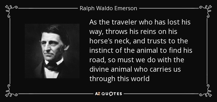 As the traveler who has lost his way, throws his reins on his horse's neck, and trusts to the instinct of the animal to find his road, so must we do with the divine animal who carries us through this world - Ralph Waldo Emerson