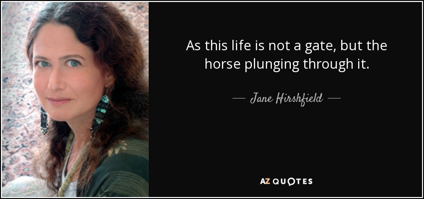 As this life is not a gate, but the horse plunging through it. - Jane Hirshfield