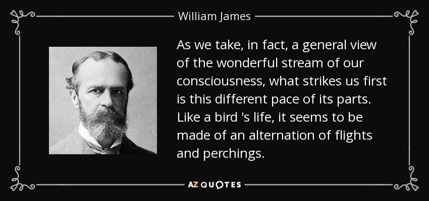 As we take, in fact, a general view of the wonderful stream of our consciousness, what strikes us first is this different pace of its parts. Like a bird 's life, it seems to be made of an alternation of flights and perchings. - William James
