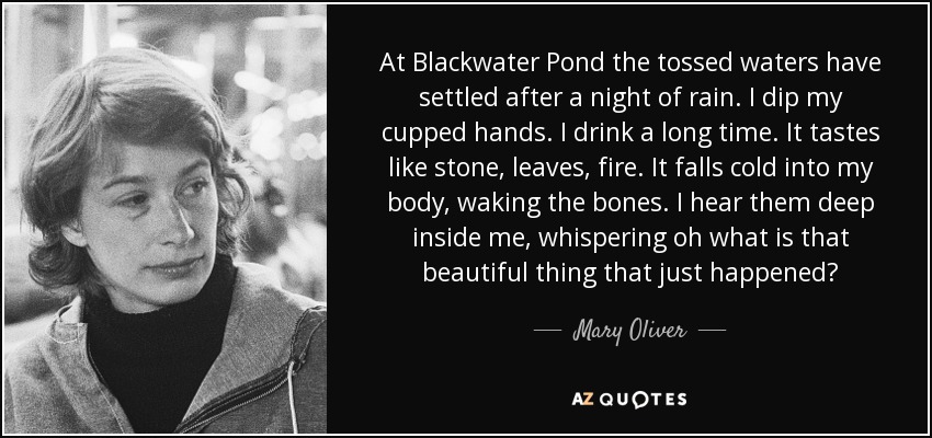 At Blackwater Pond the tossed waters have settled after a night of rain. I dip my cupped hands. I drink a long time. It tastes like stone, leaves, fire. It falls cold into my body, waking the bones. I hear them deep inside me, whispering oh what is that beautiful thing that just happened? - Mary Oliver