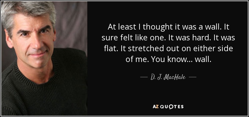 At least I thought it was a wall. It sure felt like one. It was hard. It was flat. It stretched out on either side of me. You know... wall. - D. J. MacHale