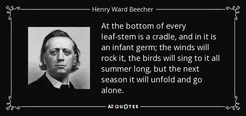 At the bottom of every leaf-stem is a cradle, and in it is an infant germ; the winds will rock it, the birds will sing to it all summer long, but the next season it will unfold and go alone. - Henry Ward Beecher