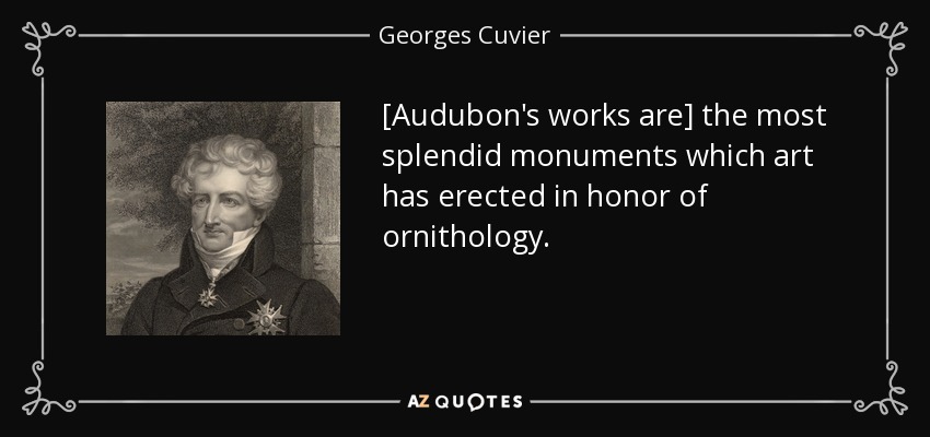 [Audubon's works are] the most splendid monuments which art has erected in honor of ornithology. - Georges Cuvier