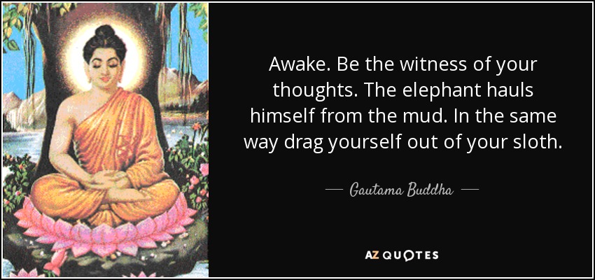 Awake. Be the witness of your thoughts. The elephant hauls himself from the mud. In the same way drag yourself out of your sloth. - Gautama Buddha