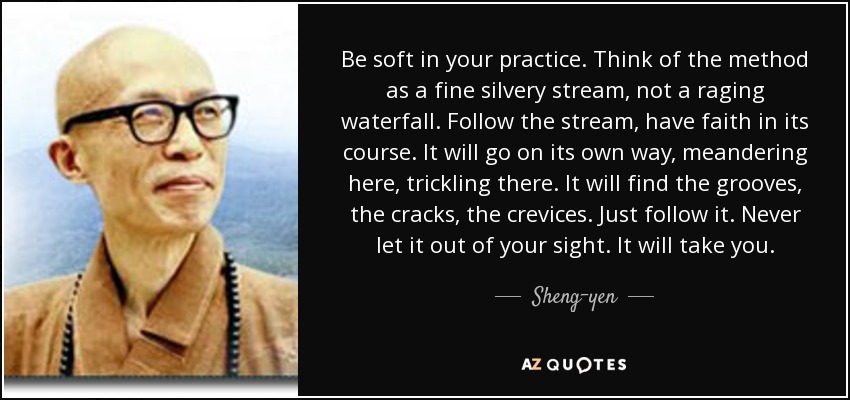 Be soft in your practice. Think of the method as a fine silvery stream, not a raging waterfall. Follow the stream, have faith in its course. It will go on its own way, meandering here, trickling there. It will find the grooves, the cracks, the crevices. Just follow it. Never let it out of your sight. It will take you. - Sheng-yen