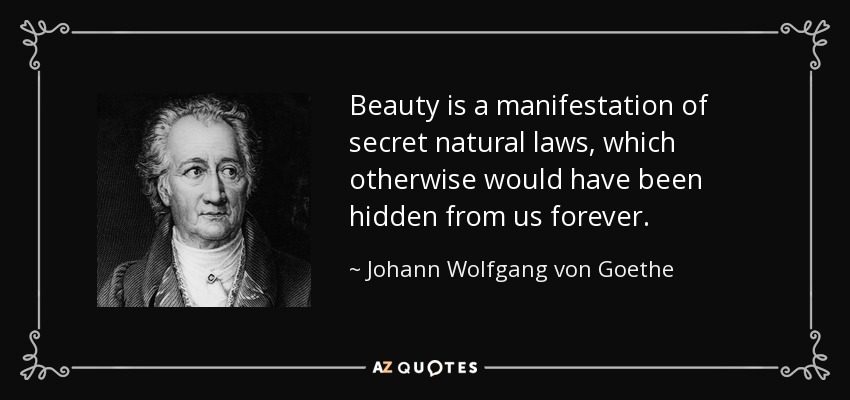 Beauty is a manifestation of secret natural laws, which otherwise would have been hidden from us forever. - Johann Wolfgang von Goethe