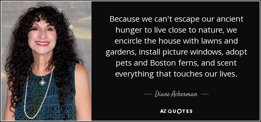 Because we can't escape our ancient hunger to live close to nature, we encircle the house with lawns and gardens, install picture windows, adopt pets and Boston ferns, and scent everything that touches our lives. - Diane Ackerman