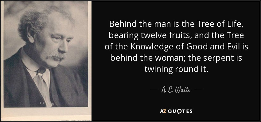 Behind the man is the Tree of Life, bearing twelve fruits, and the Tree of the Knowledge of Good and Evil is behind the woman; the serpent is twining round it. - A. E. Waite