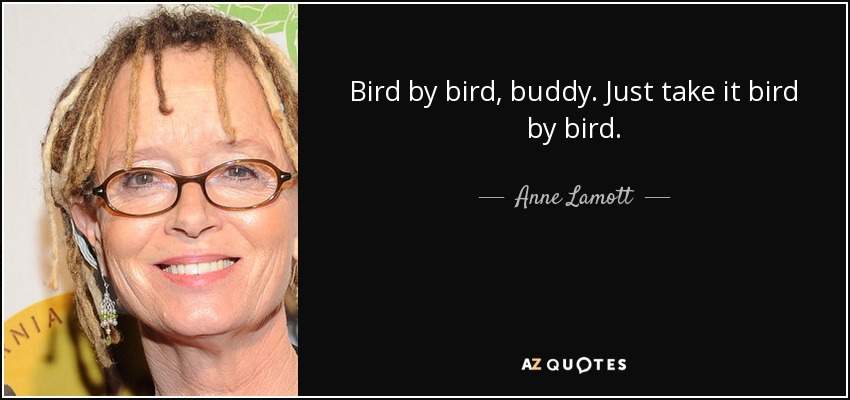 Bird by bird, buddy. Just take it bird by bird. - Anne Lamott