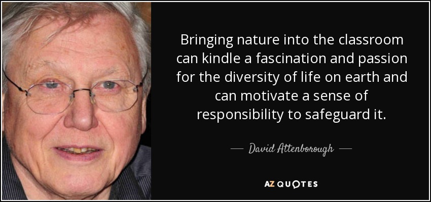 Bringing nature into the classroom can kindle a fascination and passion for the diversity of life on earth and can motivate a sense of responsibility to safeguard it. - David Attenborough