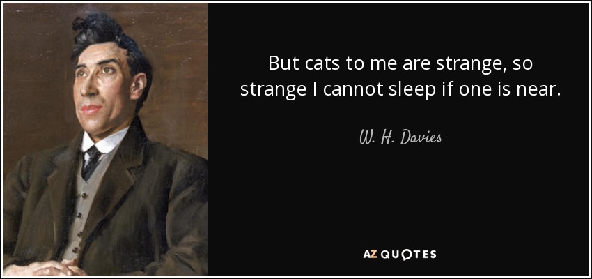 But cats to me are strange, so strange I cannot sleep if one is near. - W. H. Davies