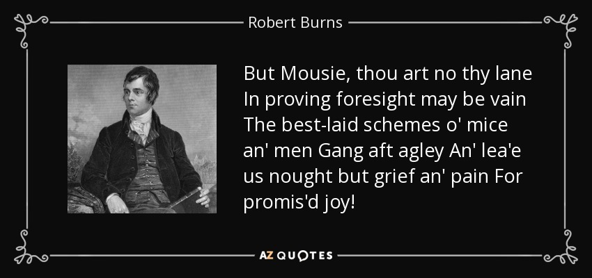 But Mousie, thou art no thy lane In proving foresight may be vain The best-laid schemes o' mice an' men Gang aft agley An' lea'e us nought but grief an' pain For promis'd joy! - Robert Burns