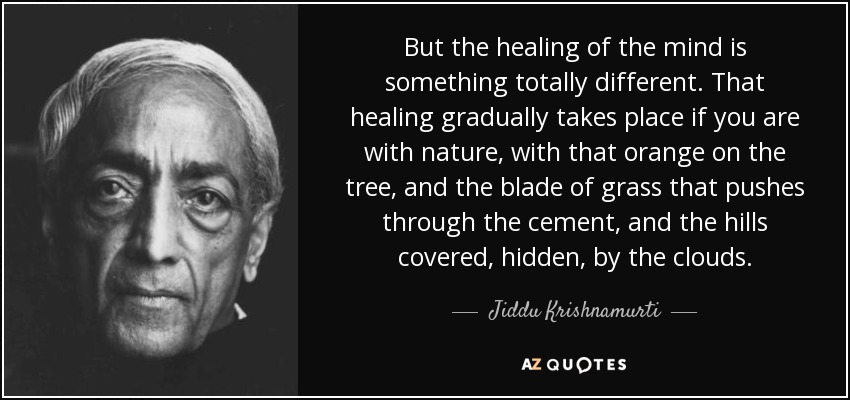 But the healing of the mind is something totally different. That healing gradually takes place if you are with nature, with that orange on the tree, and the blade of grass that pushes through the cement, and the hills covered, hidden, by the clouds. - Jiddu Krishnamurti