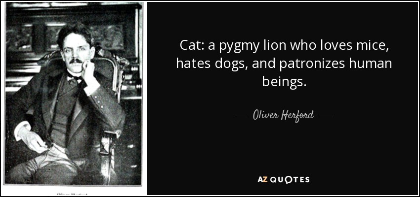 Cat: a pygmy lion who loves mice, hates dogs, and patronizes human beings. - Oliver Herford