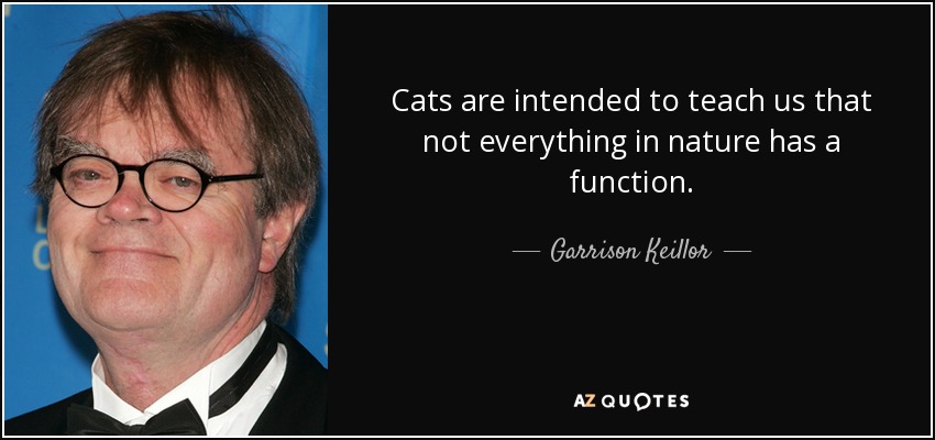 Cats are intended to teach us that not everything in nature has a function. - Garrison Keillor