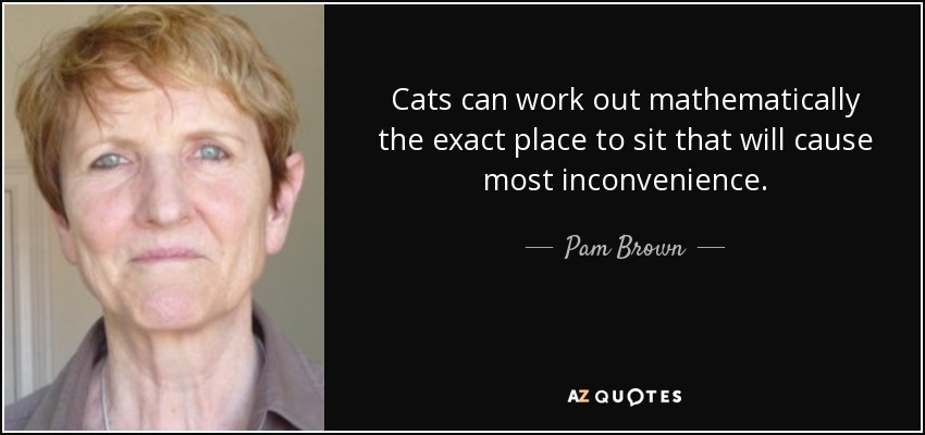 Cats can work out mathematically the exact place to sit that will cause most inconvenience. - Pam Brown