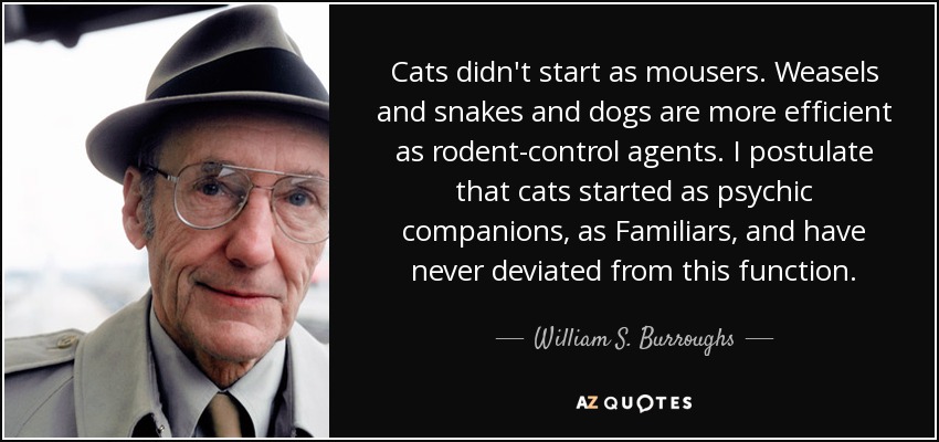 Cats didn't start as mousers. Weasels and snakes and dogs are more efficient as rodent-control agents. I postulate that cats started as psychic companions, as Familiars, and have never deviated from this function. - William S. Burroughs