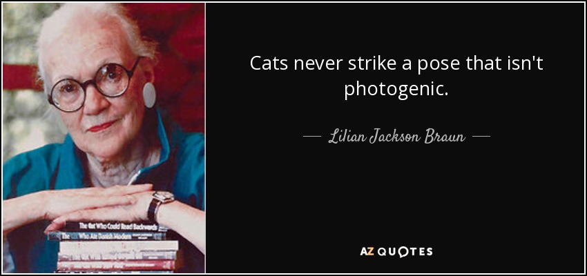 Cats never strike a pose that isn't photogenic. - Lilian Jackson Braun