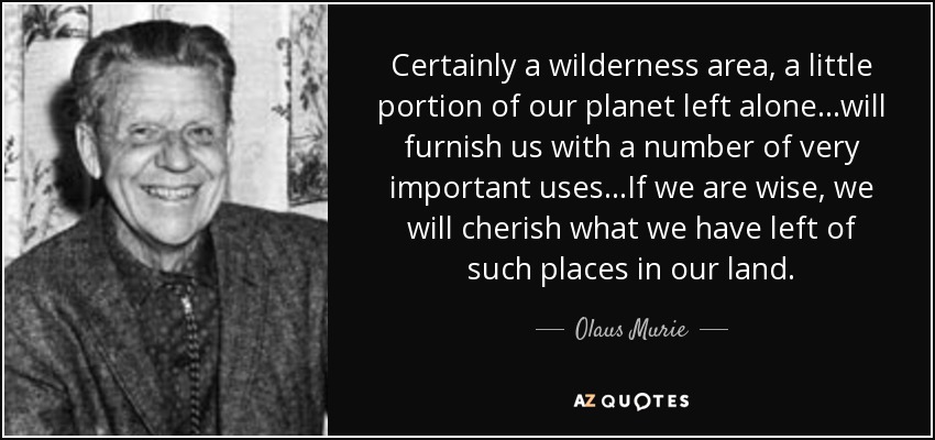 Certainly a wilderness area, a little portion of our planet left alone…will furnish us with a number of very important uses…If we are wise, we will cherish what we have left of such places in our land. - Olaus Murie